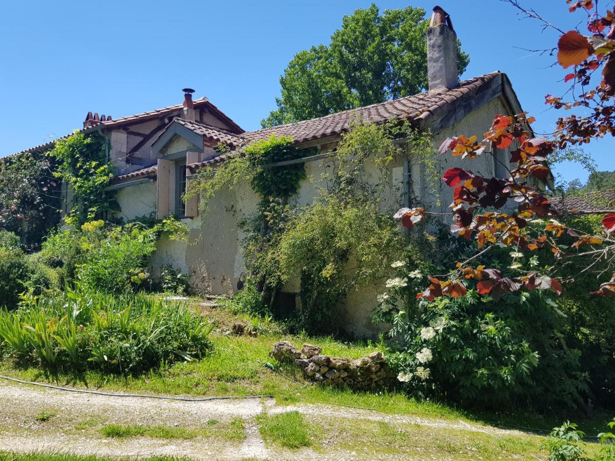 Romantic Mill Cottage 30 Min From Bergerac France Sourzac エクステリア 写真